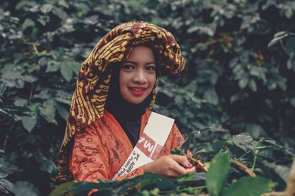 Les Cafés les Plus Prisés au Monde : Explorez les Saveurs Internationales